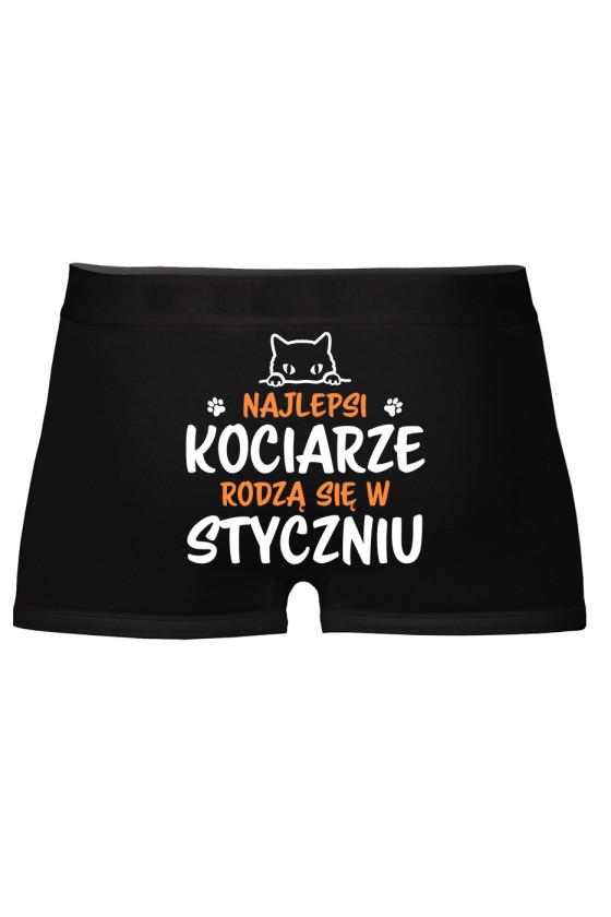 Bokserki Najlepsi Kociarze Rodzą się w Styczniu