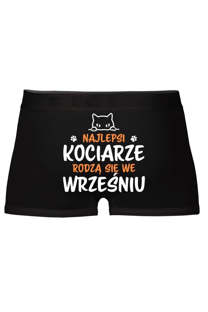 Bokserki Najlepsi Kociarze Rodzą się we Wrześniu